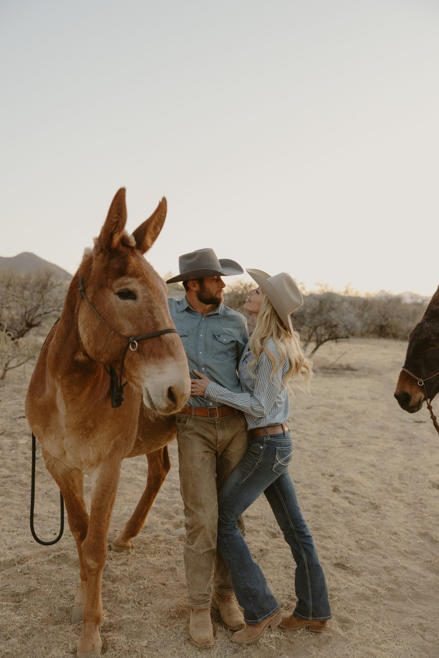 Mules add fun to any photo op